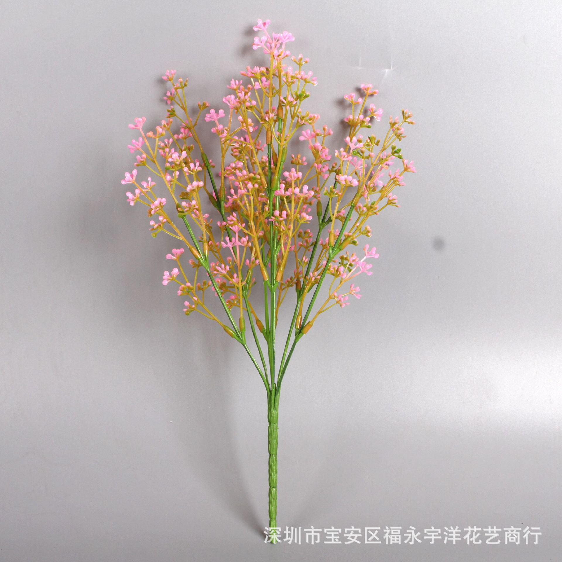 IMG_0532_副本.jpg