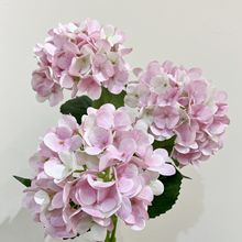 Ʒ|3Dָнcյ߼ҾƷɻ