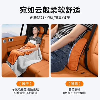 Waist support — Alpine Mocha Phev/Weipai Vv7/