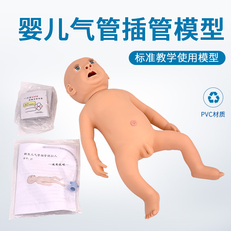 Ӥ���ķθ���ģ���� ҽѧ����ѵ�� ����ģ�� С�����ܲ��ģ����