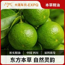 枳实精油原料批发芳疗护理调香本草精油Immature Bitter Orange