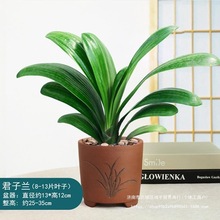 �����m����Ԫ�������m�_��ֲ���҃��Լ����G���B�����^��ֲ������