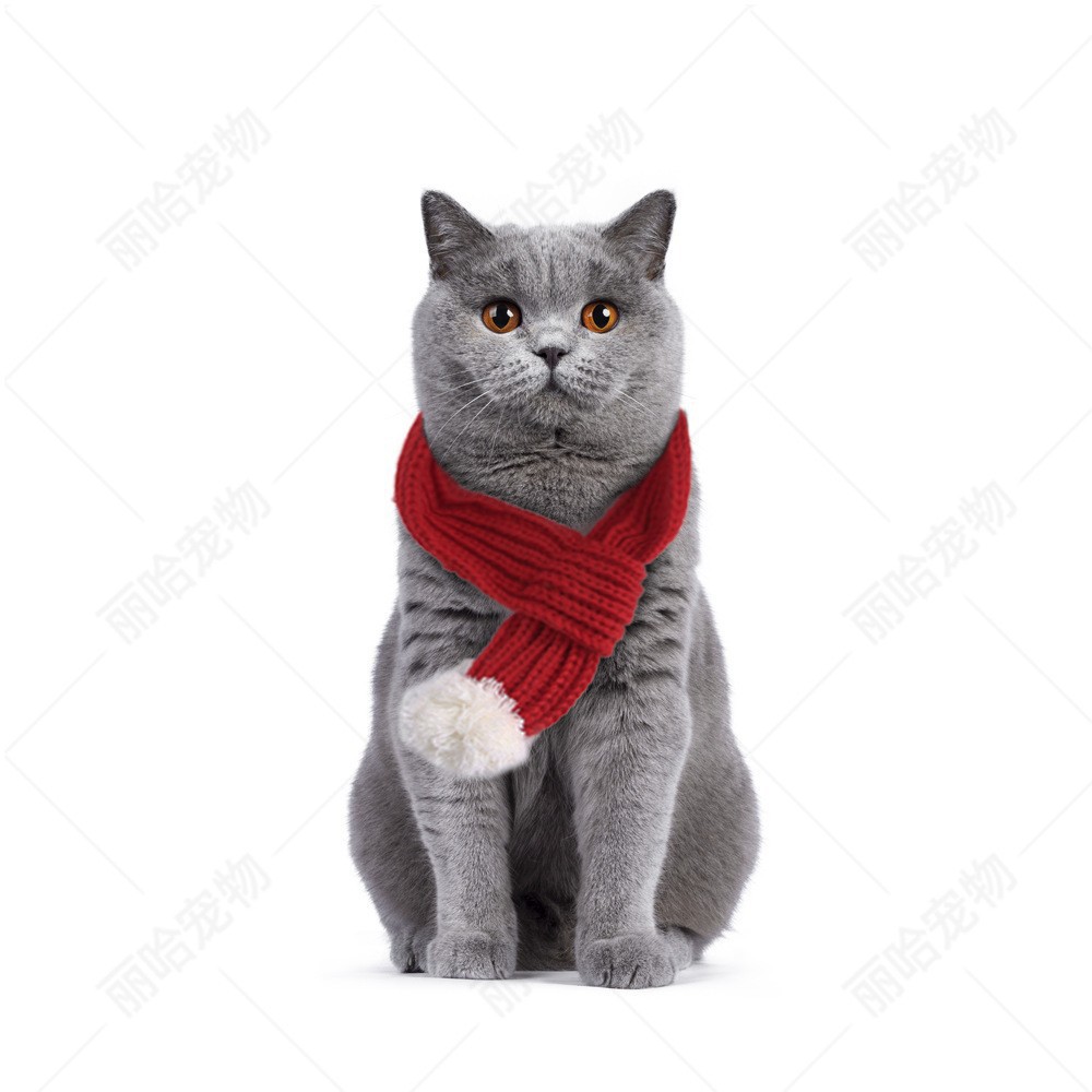 Halloween Ghost Festival disfrazado de mascota diablillos cuernos ornamentales tiara diadema accesorios para mascotas joyería diadema