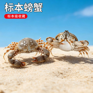 ����з�з�˱�����Ʒ���з��������չʾ���ղظ��ֵ���նY��