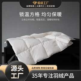 出口热卖10白鸭绒纯棉单双人防钻保暖锁温羽绒春秋厚被批发