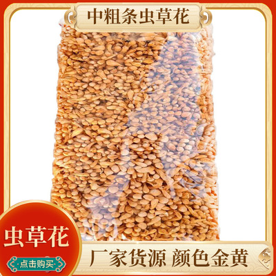 烹调煲汤蒸煮中粗条虫草花可食用美味虫草菌花排草带孢子头金虫草|ru