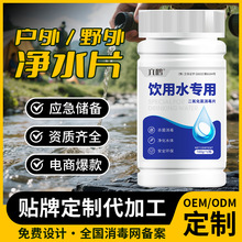 定制六鹤野外生存净水片应急储备二氧化氯饮用水消毒片厂家代加工
