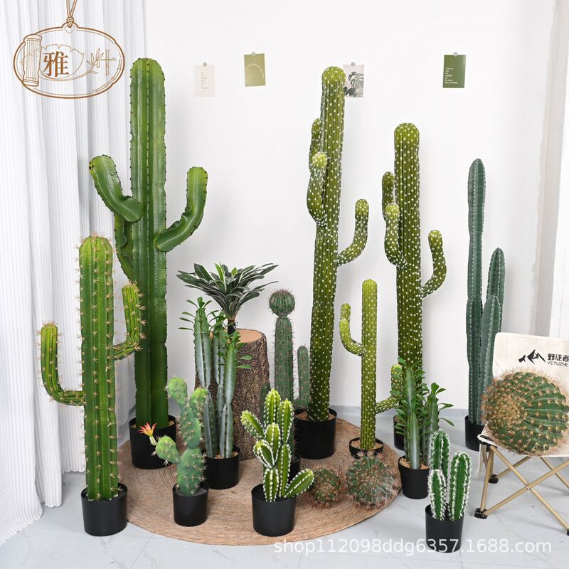 Amazon Artificial Cactus Cactus Potted Tropical Plant Shop Window Decoration Indoor Fake Cactus Amazon Artificial Cactus Cactus Potted Tropical Plant Shop Window Decoration Indoor Fake Cactus