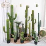 亚马逊仿真仙人掌仙人柱盆栽热带植物店铺橱窗装饰品室内假仙人掌