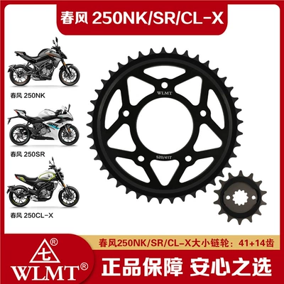 Oil Seal Chain, Tire snow chain - buy-large-and-small-sprockets-separately-41-teeth-14-teeth