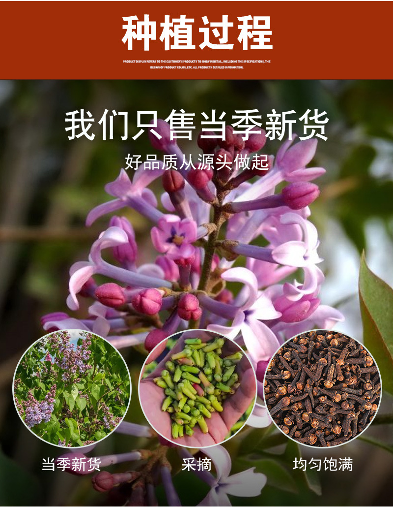 Clove Buds (Syzygium aromaticum) — Dried Food-Herb Spice, Bulk A+ Grade specifications