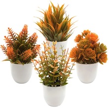 �＾�¿����Gֲ��ɫ���������ȼ����������컨С�辰�҃��b[