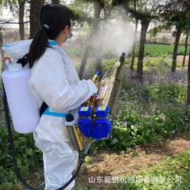 大功率汽油脉冲弥雾机 葡萄树喷药机 园林防疫杀虫烟雾机喷雾均匀