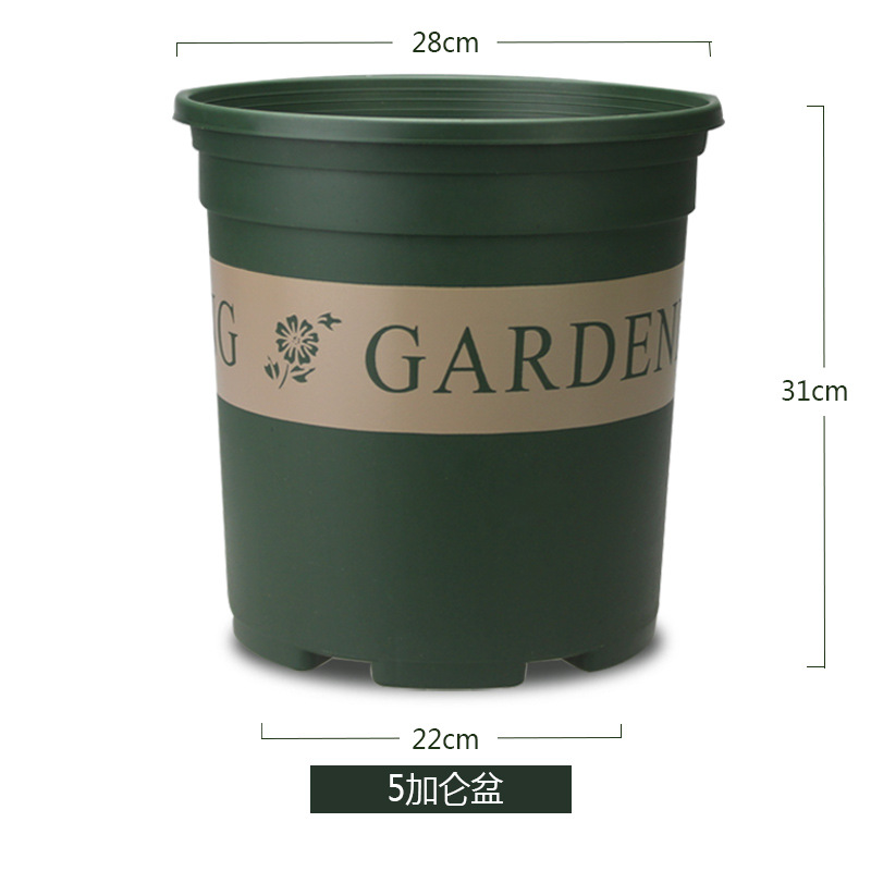 5 gallon basin