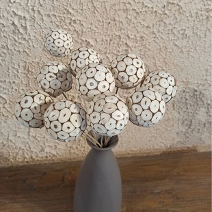 ͨ��������ֹ��ɻ��Ӱ��g�Ҿ��b������յ���ins�L�Ҿ��b�