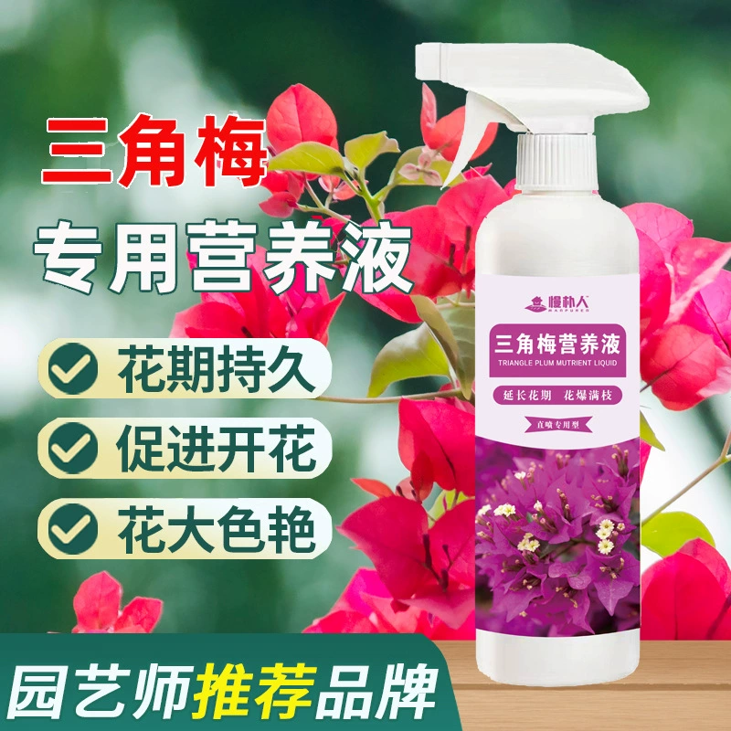 Bougainvillea специальный питательный раствор для растений домашний Садоводство рост цветов Продвижение цветов Азотные, ФОСФОРНЫЕ и калийные удобрения в горшках