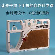 蚂蚁城堡蚂蚁工坊园蚁后小屋沙场巢蚂蚁箱桌面蚂蚁宠物