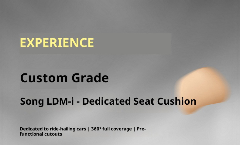 New Model Luxury Car Song Ldm-I Full Leather Car Seat Cushion, Four-Season Overseas Right-Hand Drive Seat Cover, Cross-Border Full-Cover Car Seat Cushion