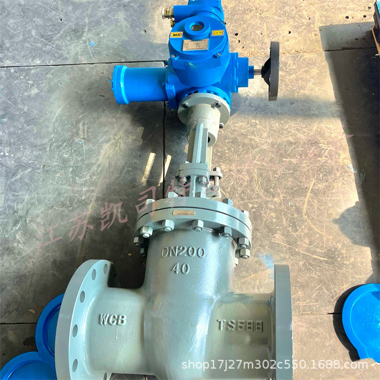 凯司特 大口径手电两用阀门 矿用隔爆型电动闸阀MZ941H-16C-DN500