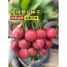 ���羳��؛�������}���N��ˮ������С�ײ��۲���������ļ��̨��