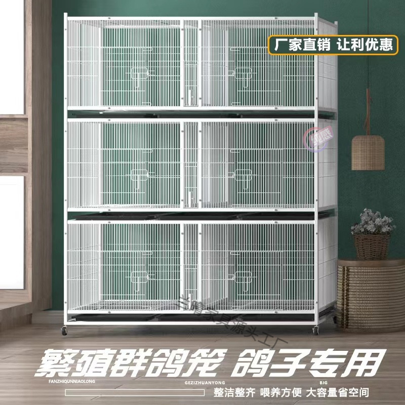 beec969d-f627-4c31-abae-d9f7883a2526.jpe