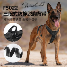 跨境狗狗牵引绳 反光防挣脱狗狗胸背带户外三段式狗绳子现货批发