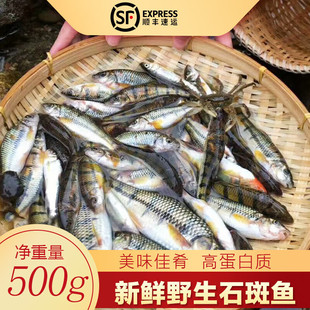 ʮ����㽭���rϪʯ���~Ұ�ԭ��Ϫ��С���~�r��ⴽ�~��ˮ�~�F��