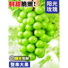 阳光玫瑰葡萄5斤晴王葡萄无籽香印提子青提当季新鲜水果顺丰3
