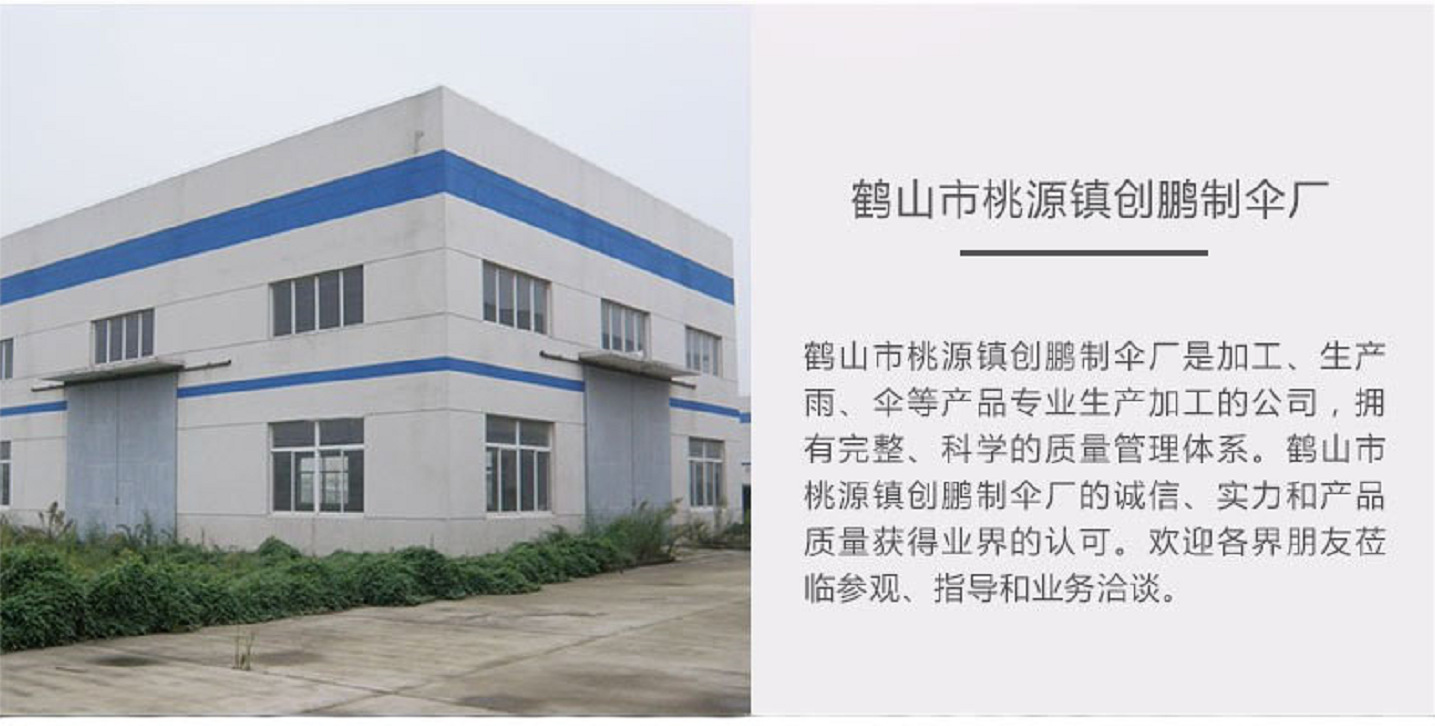 公司介绍