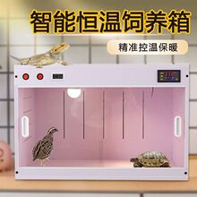 爬恆溫專用寵守宮寵安全鬃獅智能等防水飼養箱爬高端阻燃蜥蜴