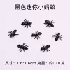 Mini black ants