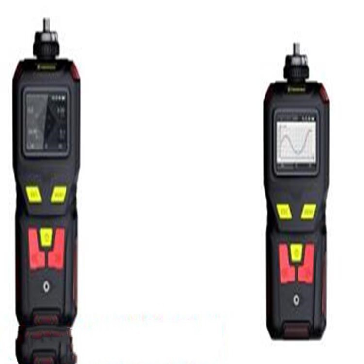 便携式氨测量仪（） 型号:GP19-NGP40-NH3库号：M407580