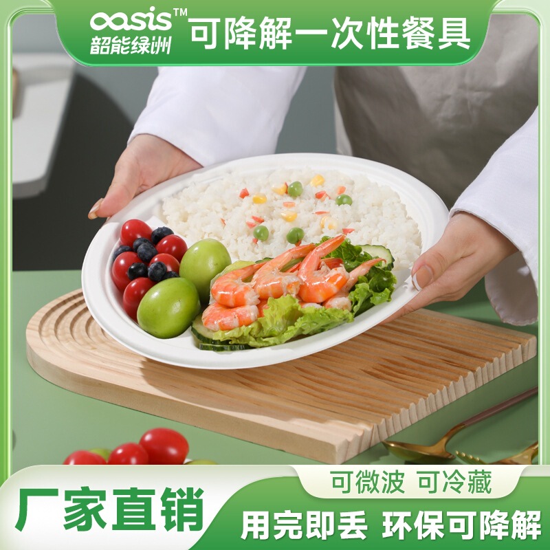 Green factory wholesale bagasse pulp bamboo pulp 10-inch disc environmentally friendly disposable tableware degradable compostable