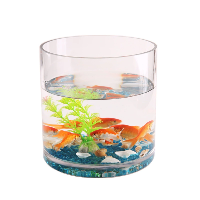 Creative glass big transparent aquarium for office