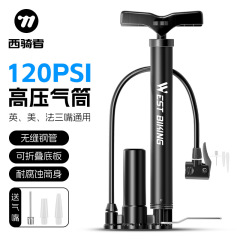 西骑者自行车打气筒游泳圈气针篮球打气筒排球足球充气筒立式气筒