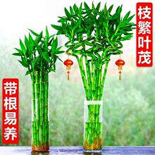 �D�\��ˮ�B����ˮ�฻�F��ֲ���_�\��͏d������������ؔ�҃�ֲ��