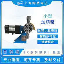 Nikkiso EikoՙCbӋBXϵ|gCеĤș늄ӱ