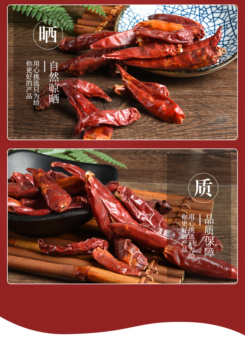 Chili Pepper (Capsicum annuum) — Dried Hot Chili Segments, Flakes & Powder for Culinary Use quality and texture