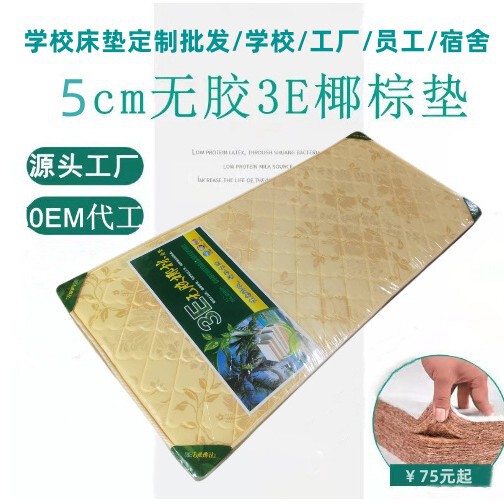 Factory 3E Coconut Palm Mattress Hotel Homestay Student Dormitory Combination Children's Mattress Coconut Palm Mattress Folding Ridge Protection Set