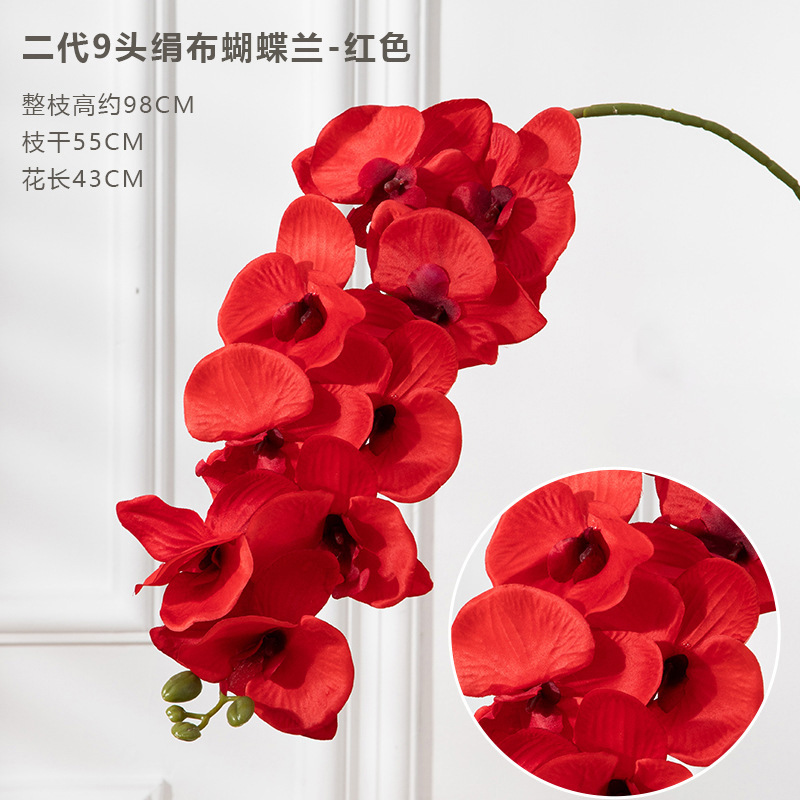 9 포크 phalaenopsis red