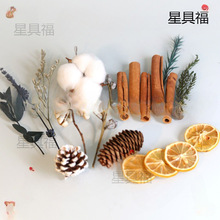 oѬϰdiyƬɻȼ~Сɹ։