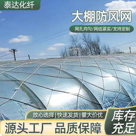大棚网 瓜果蔬菜农业大棚防护挡风压膜网大网孔尼龙网大棚防风网
