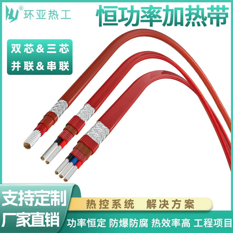 Тропическая однофазная параллельная огнестойкая постоянная мощность электрическая взрывозащищенная высокая температура RDP2-J3-50W-220V тропическая