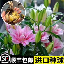 ���M�ڷN�򡿎�ѿ��ˮ�ٺ������ذ���������B�ļ��_���ܾ�Ʒ����