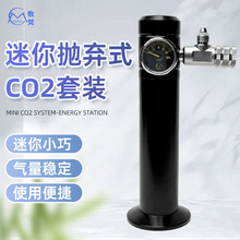 ���󒁗�ʽ������̼�p���y���bCO2�l������ƿ3/8�����~��ˮ��̼Դ
