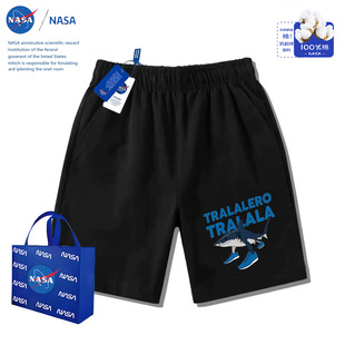 NASA�ļ��r�Ѓ�ͯ�¿����������^���������д�ֱͯͲ������e��ѝ