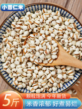 С޲��5�� ��؛�r���F��޲������������t������s�Z�ּZ�Z������