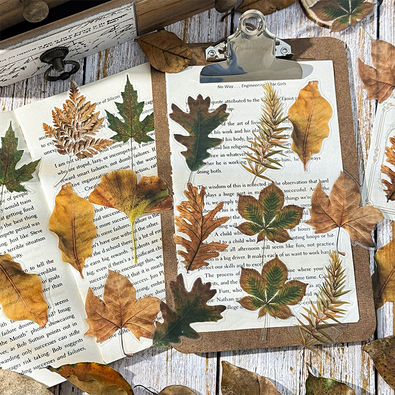 Hojas caídas en otoño impermeable mascotas transparentes pegatinas de tela de mano paquete diy pegatinas de tela de mano materiales vegetales pegatinas de hojas para niños pegatinas de hoja