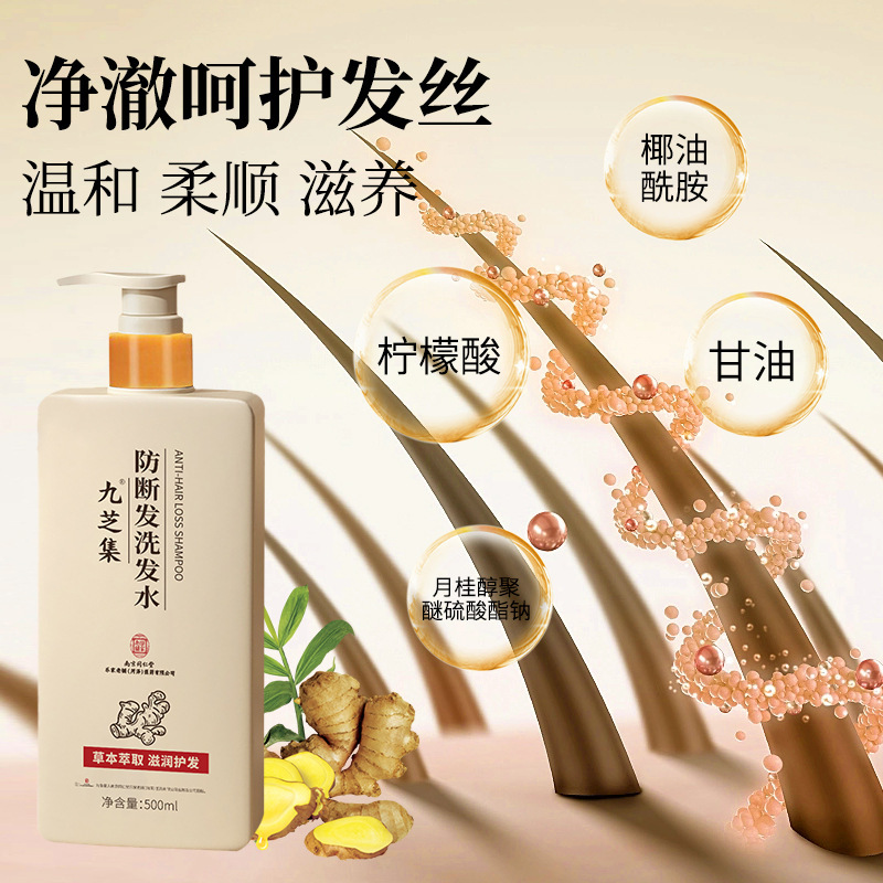 南京銅仁堂抗切れ毛シャンプー生姜固定ヘアオイルコントロールシャンプークリームヘアケアハーブシャンプー|undefined