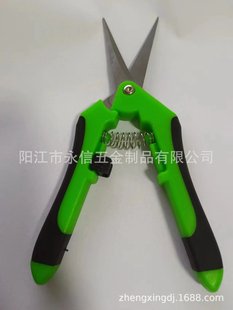 Stainless Steel Fruit Branch Shears Grape Citrus Persimmon Pruning Flower Arrangement Potted Garden Garden Scissors
